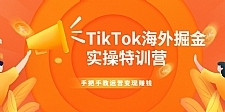 TikTok海外掘金实操特训营：手把手教运营变现赚钱